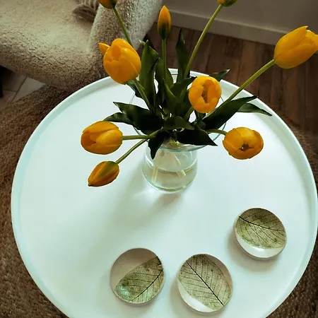 Na Szlaku 度假居 斯克拉斯卡波伦巴